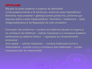EPITÁLAMO Situada na parte posterior e superior do diencéfalo Limita posteriormente o III Ventrículo, acima do sulco hipotalâmico Elemento mais evidente = glândula pineal (endócrina, piriforme que repousa sobre o tecto mesencefálico)  Hormônio = melatonina  - Ação  Antigonadotrópica e de Regulação do ciclo circadiano Formação não endócrina = núcleos da habênula situado no trígono e na comissura da habênula – estrias medulares e a comissura posterior pertencente ao sistema límbico  -> regulação do comportamento  emocional. Área septal -> estrias medulares -> núcleos habenulas (homo e  Heterolateral – quando cruza a comissura das habênulas) ->núcleo  interpeduncular do mesencéfalo 