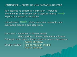 LENTIFORME = FORMA DE UMA CASTANHA DO PARÁ Não aparece na superfície ventricular – Profundo Medialmente se relaciona com a cápsula interna  Separa do caudado e do tálamo Lateralmente  córtex da ínsula, separado pela  substância branca e pelo claustrum DIVIDIDO – Putamem = lâmina medial Globo pálido = lâmina mais lateral e branca  Coloração mais clara = fibras mielínicas que a atravessam PARTE EXTERNA GLOBO PÁLIDO  lâmina medular  medial PARTE INTERNA 