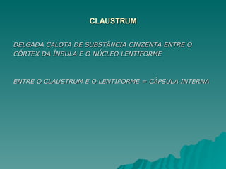 CLAUSTRUM DELGADA CALOTA DE SUBSTÃNCIA CINZENTA ENTRE O CÓRTEX DA ÍNSULA E O NÚCLEO LENTIFORME ENTRE O CLAUSTRUM E O LENTIFORME = CÁPSULA INTERNA 