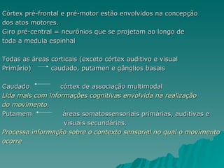 Córtex pré-frontal e pré-motor estão envolvidos na concepção dos atos motores. Giro pré-central = neurônios que se projetam ao longo de  toda a medula espinhal Todas as áreas corticais (exceto córtex auditivo e visual  Primário)  caudado, putamen e gânglios basais Caudado  córtex de associação multimodal Lida mais com informações cognitivas envolvida na realização  do movimento. Putamem  áreas somatossensoriais primárias, auditivas e  visuais secundárias. Processa informação sobre o contexto sensorial no qual o movimento  ocorre   
