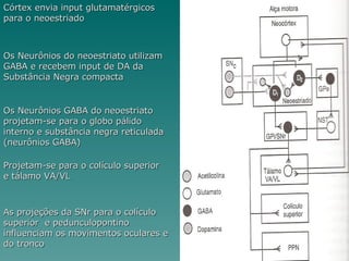 Córtex envia input glutamatérgicos para o neoestriado Os Neurônios do neoestriato utilizam GABA e recebem input de DA da Substância Negra compacta Os Neurônios GABA do neoestriato projetam-se para o globo pálido interno e substância negra reticulada (neurônios GABA) Projetam-se para o colículo superior  e tálamo VA/VL As projeções da SNr para o colículo superior  e pedunculopontino influenciam os movimentos oculares e do tronco 