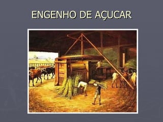 ENGENHO DE AÇUCAR 