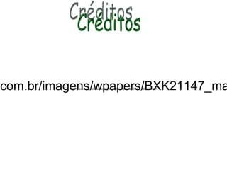 Créditos http://www.baixaki.com.br/imagens/wpapers/BXK21147_mata-atlantica800.jpg http://www.suapesquisa.com/geografia/vegetacao/mata_atlantica.htm 