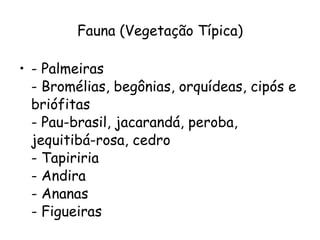 Fauna (Vegetação Típica) - Palmeiras - Bromélias, begônias, orquídeas, cipós e briófitas - Pau-brasil, jacarandá, peroba, jequitibá-rosa, cedro - Tapiriria - Andira - Ananas - Figueiras 