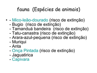 fauna  (Espécies de animais) -  Mico-leão-dourado  (risco de extinção) - Bugio  (risco de extinção) - Tamanduá bandeira  (risco de extinção) - Tatu-canastra (risco de extinção) - Arara-azul-pequena (risco de extinção) - Muriqui - Anta -  Onça Pintada  (risco de extinção) - Jaguatirica  -  Capivara   