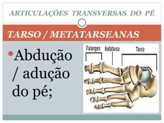 TARSO / METATARSEANAS Abdução / adução do pé; ARTICULAÇÕES  TRANSVERSAS  DO  PÉ 