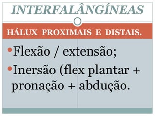 HÁLUX  PROXIMAIS  E  DISTAIS. Flexão / extensão; Inersão (flex plantar + pronação + abdução. INTERFALÂNGÍNEAS 