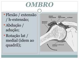 OMBRO Flexão / extensão / h-extensão; Abdução / adução; Rotação lat / medial (idem ao quadril); 