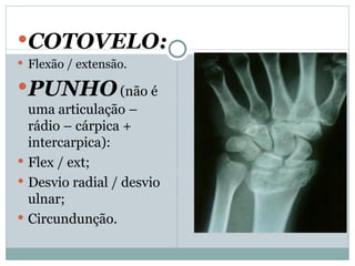 COTOVELO: Flexão / extensão. PUNHO   (não é uma articulação – rádio – cárpica + intercarpica): Flex / ext; Desvio radial / desvio ulnar; Circundunção. 