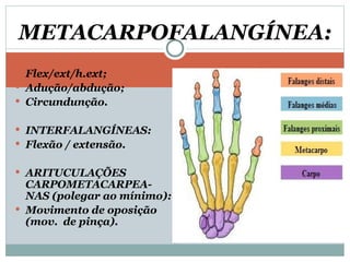 Flex/ext/h.ext; Adução/abdução; Circundunção. INTERFALANGÍNEAS: Flexão / extensão. ARITUCULAÇÕES CARPOMETACARPEA-NAS (polegar ao mínimo): Movimento de oposição (mov.  de pinça). METACARPOFALANGÍNEA: 