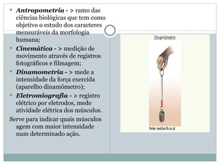 Antropometria - >  ramo das ciências biológicas que tem como objetivo o estudo dos caracteres mensuráveis da morfologia humana;  Cinemática - >  medição de movimento através de registros fotográficos e filmagem; Dinamometria - >  mede a intensidade da força exercida (aparelho dinamômetro); Eletromiografia - >  registro elétrico por eletrodos, mede atividade elétrica dos músculos.  Serve para indicar quais músculos agem com maior intensidade num determinado ação.  