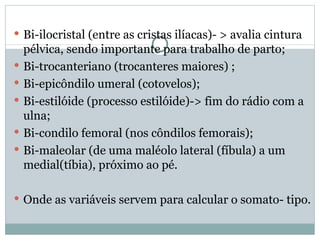 Bi-ilocristal (entre as cristas ilíacas)- > avalia cintura pélvica, sendo importante para trabalho de parto; Bi-trocanteriano (trocanteres maiores) ; Bi-epicôndilo umeral (cotovelos); Bi-estilóide (processo estilóide)-> fim do rádio com a ulna; Bi-condilo femoral (nos côndilos femorais); Bi-maleolar (de uma maléolo lateral (fíbula) a um medial(tíbia), próximo ao pé. Onde as variáveis servem para calcular o somato- tipo.  