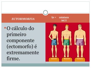 ECTORMORFIA Ip =  estatura MCT O cálculo do primeiro componente (ectomorfo) é extremamente firme. Ectomorfia->  o cálculo do terceiro componente (ectomorfia) é extremamente firme.   IP =  estatura   MCT    Ectomorfia->  o cálculo do terceiro componente (ectomorfia) é extremamente firme.   IP =  estatura   MCT    