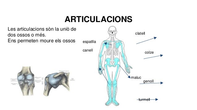Cos humà