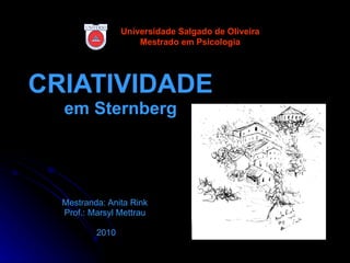 CRIATIVIDADE em Sternberg Mestranda: Anita Rink   Prof.: Marsyl Mettrau  2010 Universidade Salgado de Oliveira Mestrado em Psicologia 
