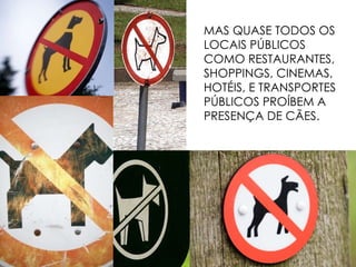 MAS QUASE TODOS OS LOCAIS PÚBLICOS COMO RESTAURANTES, SHOPPINGS, CINEMAS, HOTÉIS, E TRANSPORTES PÚBLICOS PROÍBEM A PRESENÇA DE CÃES. 