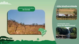 DOMÍNIO MORFOCLIMÁTICO: CERRADO. Geografia Aziz ab saber | PDF