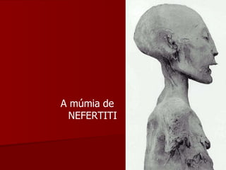 A múmia de  NEFERTITI 
