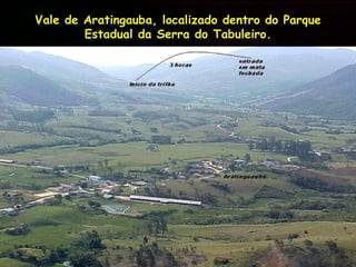 Vale de Aratingauba, localizado dentro do Parque Estadual da Serra do Tabuleiro. 