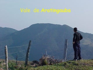 Vale  de  Aratingauba 