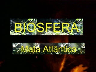 BIOSFERA Mata Atlântica 