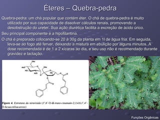 Éteres – Quebra-pedra Quebra-pedra: um chá popular que contém éter. O chá de quebra-pedra é muito utilizado por sua capacidade de dissolver cálculos renais, promovendo a desobstrução do ureter. Sua ação diurética facilita a excreção de ácido úrico.  Seu principal componente é a hipofilantina. O chá é preparado colocando-se 20 à 30g da planta em 1l de água fria. Em seguida, leva-se ao fogo até ferver, deixando a mistura em ebulição por alguns minutos. A dose recomendada é de 1 a 2 xícaras ao dia, e seu uso não é recomendado durante gravidez e lactação. Funções Orgânicas 