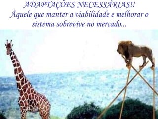 ADAPTAÇÕES NECESSÁRIAS!! Àquele que manter a viabilidade e melhorar o sistema sobrevive no mercado... 