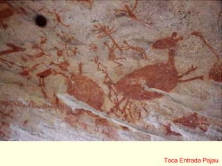 Toca Entrada Pajau
 
