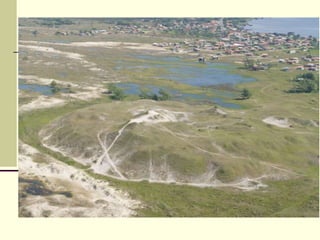 Pré- história.pptx