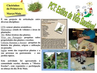 Cheirinhos
      da Primavera
      Março/Maio

É um projecto de articulação entre
diversas disciplinas:

CFN: semear plantas aromáticas;
Matemática: estudo de volumes e áreas de
plantação;
TIC: fichas técnicas das plantas;
Viver em Português: pesquisas sobre
propriedades das plantas e receitas;
Ciências Humanas e Sociais: pesquisas da
história das plantas, origens e utilização
no passado;
Inglês: nome das respectivas plantas e a
sua presença na gastronomia          e nos
jardins típicos.

Esta actividade foi apresentada à
comunidade escolar, durante a "Mostra
Escolar“, com exposições e participação
no almoço do dia 30 de Maio.
 