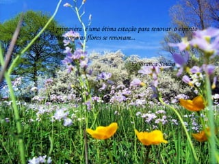 A primavera é uma ótima estação para renovar o espírito
assim como as flores se renovam...


                              by Branca Souza
 