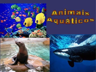Animais Aquáticos   
