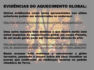  Favorecimento do aquecimento global.ALGUMAS FORMAS DE SE EVITAR QUEIMADAS: Manter os terrenos limpos;