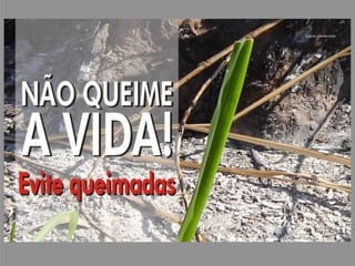 Os países desenvolvidos são os principais emissores de dióxido de carbono na atmosfera, mas em alguns países em desenvolvimento é também grande a quantidade de emissão de dióxido de carbono por mudanças no uso do solo.Recomendamos um vídeo interessantíssimo que aborda os efeitos da ação antropogênica no aquecimento global:http://www.hiperescopio.com.br/imagens/mag/versao_separada/06_mudancas_climaticas_antropogenicas/06_mudancas_climaticas_antropogenicas.html