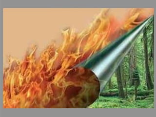 EVIDÊNCIAS DO AQUECIMENTO GLOBAL:O monte Kilimanjaro, na África, em 1970. O mesmo ponto do Kilimanjaro 30 anos depois.