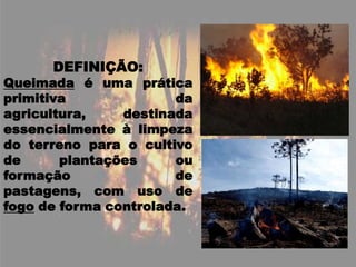 DEFINIÇÃO:Queimada é uma prática primitiva da agricultura, destinada essencialmente à limpeza do terreno para o cultivo de plantações ou formação de pastagens, com uso de fogo de forma controlada.
