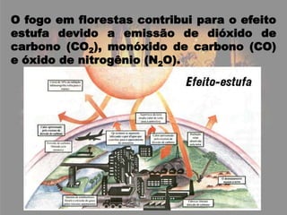 O fogo em florestas contribui para o efeito estufa devido a emissão de dióxido de carbono (CO2), monóxido de carbono (CO) e óxido de nitrogênio (N2O).