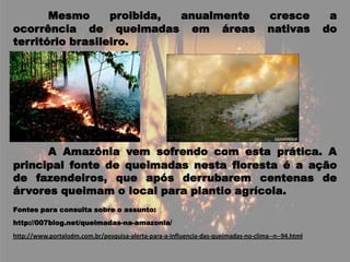 Mesmo proibida, anualmente cresce a ocorrência de queimadas em áreas nativas do território brasileiro.A Amazônia vem sofrendo com esta prática. A principal fonte de queimadas nesta floresta é a ação de fazendeiros, que após derrubarem centenas de árvores queimam o local para plantio agrícola.Fontes para consulta sobre o assunto: http://007blog.net/queimadas-na-amazonia/http://www.portalodm.com.br/pesquisa-alerta-para-a-influencia-das-queimadas-no-clima--n--94.html