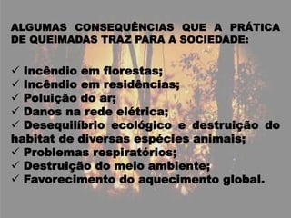 ALGUMAS CONSEQUÊNCIAS QUE A PRÁTICA DE QUEIMADAS TRAZ PARA A SOCIEDADE: Incêndio em florestas;