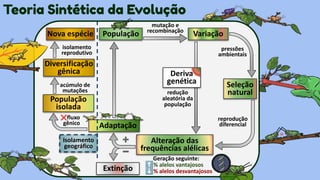 Teoria Sintética da Evolução - 1º ano Ensino Médio.pdf