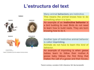 L’estructura del text
             Many animal behaviors are instinctive.
             This means the animal knows how to do
             something when it is born.
             An example of an instinctive behavior is
             a bird building its nest. Birds do not need
             to learn how to build nests. They are born
             knowing how to do it.


             Another type of instinctive animal behavior
             is called imprinting.
             Animals do not have to learn this kind of
             behavior.                      Neus Lorenzo
             An example of imprinting is when geese
             babies learn to follow their mother. A
             goose baby follows the first thing that
             makes the call of a goose and that moves.

        Thanks to eLibrary, consolate of USA in Barcelona. Ref: http://ow.ly/exzNU

                                                                        Neus Lorenzo
 