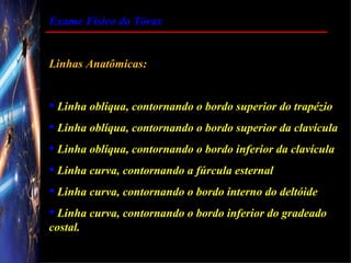 Exame Físico do Tórax


Linhas Anatômicas:


 Linha oblíqua, contornando o bordo superior do trapézio
 Linha oblíqua, contornando o bordo superior da clavícula
 Linha oblíqua, contornando o bordo inferior da clavícula
 Linha curva, contornando a fúrcula esternal
 Linha curva, contornando o bordo interno do deltóide
 Linha curva, contornando o bordo inferior do gradeado
costal.
 