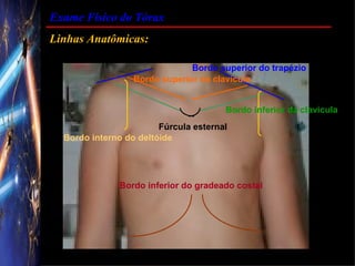 Exame Físico do Tórax
Linhas Anatômicas:

                               Bordo superior do trapézio
                  Bordo superior da clavícula


                                       Bordo inferior da clavícula
                        Fúrcula esternal
  Bordo interno do deltóide




              Bordo inferior do gradeado costal
 