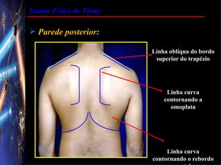 Exame Físico do Tórax

 Parede posterior:

                        Linha oblíqua do bordo
                         superior do trapézio




                             Linha curva
                            contornando a
                              omoplata




                             Linha curva
                        contornando o rebordo
 