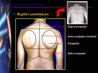 Exame Físico do Tórax

 Regiões anatômicas:


                        Supra-escapular


                        Inter-escápulo-vertebral

                        Escapular


                        Infra-escapular
 