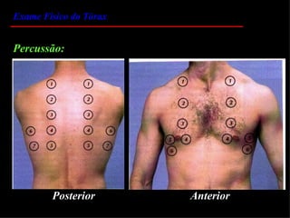 Exame Físico do Tórax


Percussão:




        Posterior       Anterior
 