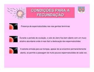 CONDIÇÕES PARA A
              FECUNDAÇÃO

 Presença de espermatozóides nas vias genitais femininas




Durante o período de ovulação, o colo do útero fica bem aberto com um muco
alcalino abundante onde é mais fácil a deslocação dos espermatozóides



A estreita entrada para as trompas, apesar de se encontrar permanentemente

aberta, só permite a passagem de muito poucos espermatozóides de cada vez.
 