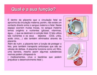 Qual é a sua função?

É dentro da placenta que a circulação fetal se
aproxima da circulação materna; porém, não existe um
contacto directo entre o sangue materno e fetal. Neste
espaço ocorrem muitas trocas, no sangue materno
temos oxigénio e nutrientes (glicose, vitaminas,
água,…) que se destinam à nutrição fetal. O feto utiliza
tais nutrientes e os seus     dejectos (CO2, uréia,
acido úrico,…) são também eliminados através da
placenta.
Além de nutrir, a placenta tem a função de proteger o
feto, pois também transporta anticorpos que são as
células de defesa. A placenta funciona como um filtro,
uma barreira, mesmo assim algumas substâncias
nocivas podem ultrapassá-la
( medicamentos, vírus e bactérias que podem
prejudicar o desenvolvimento fetal ).
 