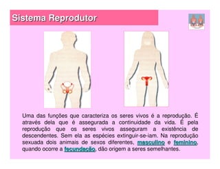 Sistema Reprodutor




  Uma das funções que caracteriza os seres vivos é a reprodução. É
  através dela que é assegurada a continuidade da vida. É pela
  reprodução que os seres vivos asseguram a existência de
  descendentes. Sem ela as espécies extinguir-se-iam. Na reprodução
  sexuada dois animais de sexos diferentes, masculino e feminino,
                                                           feminino
  quando ocorre a fecundação, dão origem a seres semelhantes.
                          ão
 