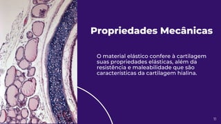 Propriedades Mecânicas
O material elástico confere à cartilagem
suas propriedades elásticas, além da
resistência e maleabilidade que são
características da cartilagem hialina.
11
 